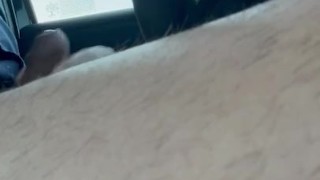 Driving and jerking through Hidden Springs Forest 