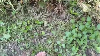 Pissing and Earthing in Nature 