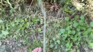 Pissing and Earthing in Nature 