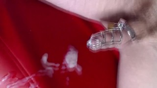 Cockcage Cum Experiment