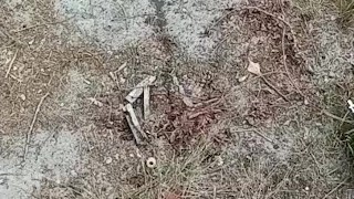 Ain't nothing good like a morning piss