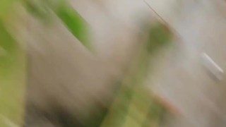 COGIENDOLE LA FRUTA AL VECINO / SALINASS03