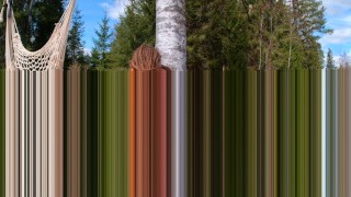 Spring sun fantasy - RosenlundX - 4K 60fps