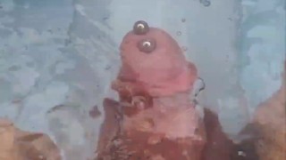 Pumping cock in my Pool.