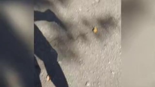 Atividade física 