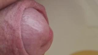 Pee cup