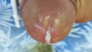 Close up cumming out of glans