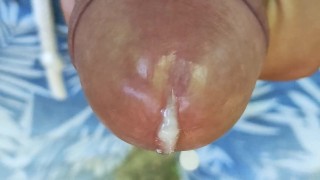 Close up cumming out of glans
