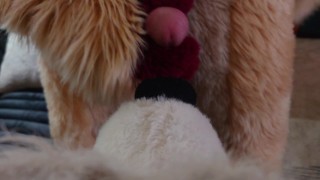 POV fursuit muzzle fuck and cumshot