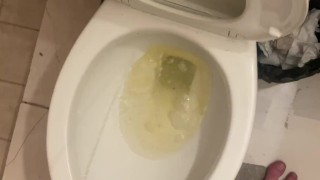 Piss into shared hostel toilet