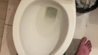Piss into shared hostel toilet