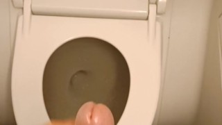 Horny on the plane and went to jerk off in the toilet