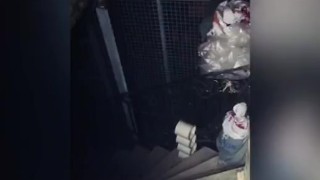 Gay fag fucking his new XXL toy in the celar