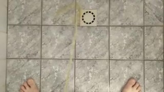 Solo PISS 2