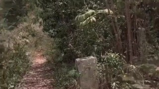 Walking in the woods with dicks out. Outdoor naked