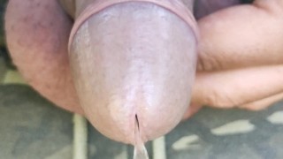 Uncut cock piss close up