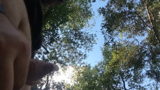Big load on Trail