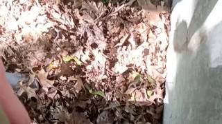 Takin a desperate piss in public park