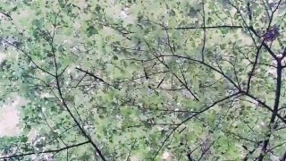 Slutboyben CAM4 Sexy Pornstar Exhibitionist in Public VI