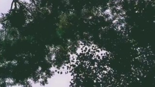 Slutboyben CAM4 Sexy Pornstar Exhibitionist in Public VIII