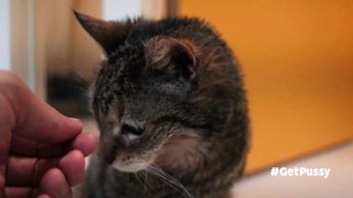 OLD (granny i'd like to foster) LIKES TO BE GENTLY BY YOU