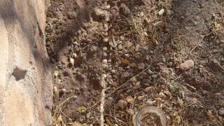 Pissing off my back porch with morning wood