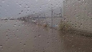 Horny rainy day. Hmu if you in AZ