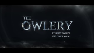 Chode Wang and The Owlery - Gobbywarts//School of Sexcraft and Wickedry//SIMS 4//HarryPotterRule34
