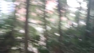 Pee in progress ⚠️🎦