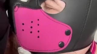 Dipstick sucks on bone