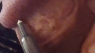 Pierced Penis Glans on HD Closeup View — Needle Play Sessions #unknown