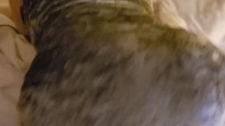 Roxanne in Las Vegas 