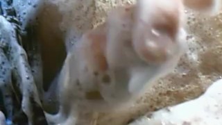 Imagine that this cock is your cock. You might like it...