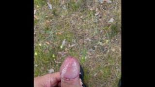 Forest wank