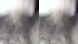 3D video jock jerking
