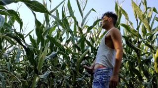 Summer jerk off in corn field - twitching cumming cock