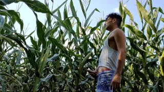 Summer jerk off in corn field - twitching cumming cock