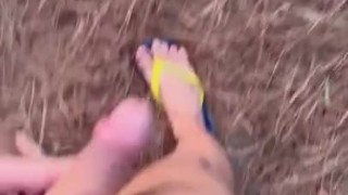 pisciata pubblica in pineta