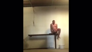 public dildo riding