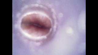 Internal views - Endoscope inside ass , cock , mouth - endoscope anal insertion, urethral insertion