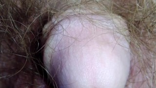 A close-up of this hairy crotch