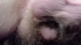 I discipline the horny people with my feet, butt, and balls