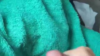 Sega pubblica rischiosa in area di sosta