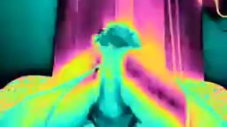 Take a little trip to my garden 