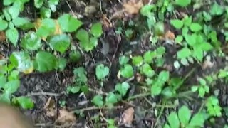 Public outdoor jerk off in the forest