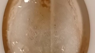 Dirty Toilet Pissing