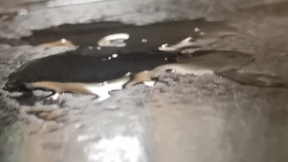 Teasing You in a Rainy Day With Cum in Floor