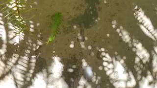 Front porch afternoon rub 