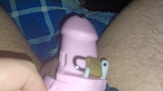Sean escap artists his sissy cage