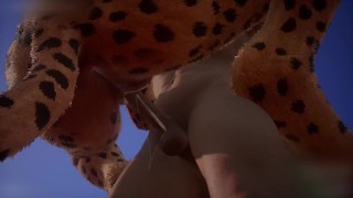 Wildlife Furry Porn (Zuri_Max)